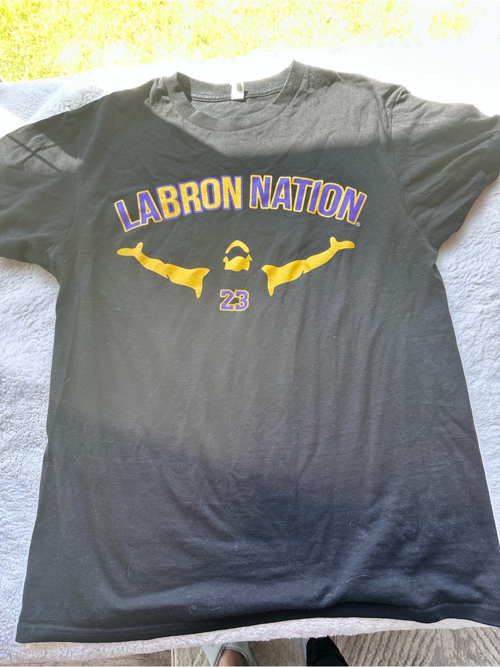 Lebron Nation Lakers Tshirt 🏀
